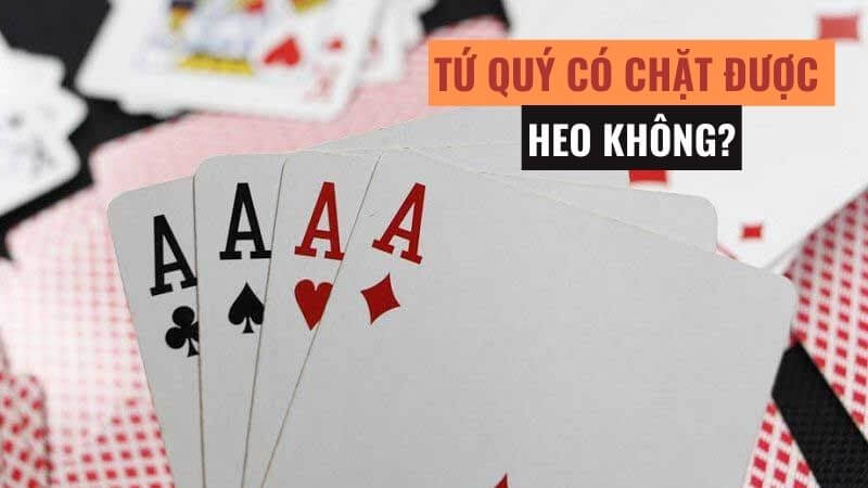 Tứ quý có chặt được đôi heo không luôn là thắc mắc của tân thủ