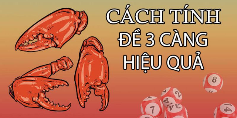 Hướng dẫn cách soi lô 3 càng miền Bắc trúng lớn